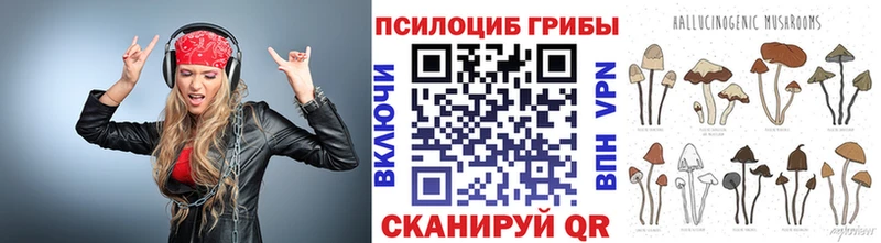 Купить где  Электросталь  Псилоцибиновые грибы Psilocybine cubensis 