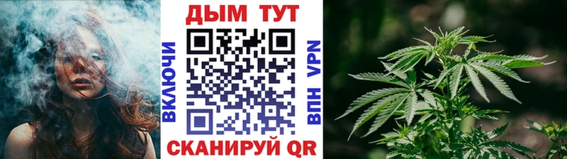 Конопля AK-47  Купить закладки  Электросталь 